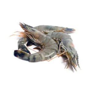 Tiger Prawn (12 Packs/Carton)