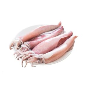 Fresh Squid (Medium) (3kg/carton)